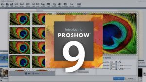 Proshow Gold 9